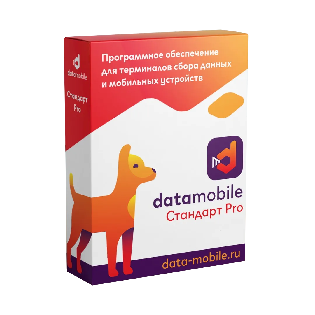 ПО DataMobile, версия Стандарт Pro - LifeTime (DMPro)